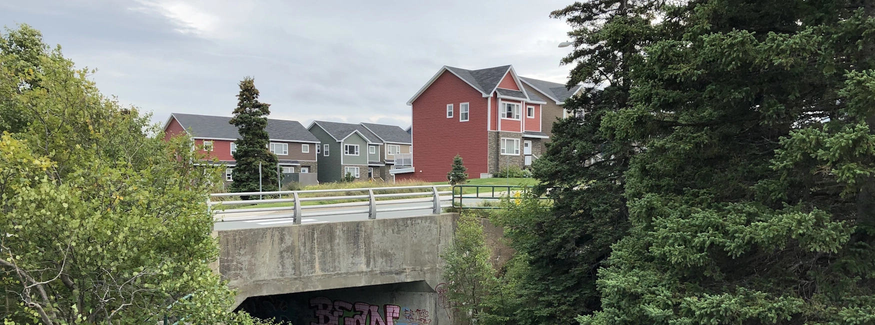 Colourful Pleasantville houses behind a tree-lined bridge, St. John's